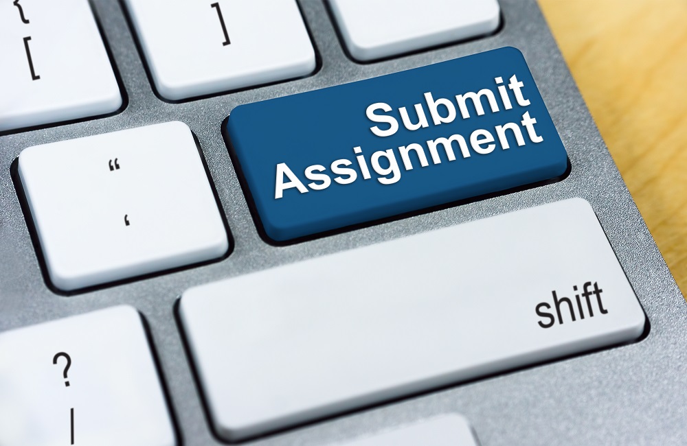 Submit Assignment